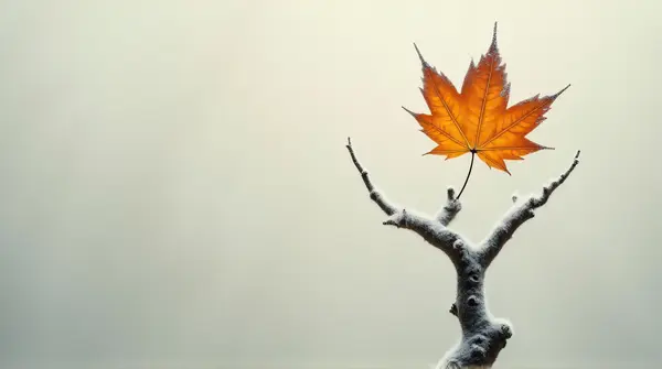 A withered amber leaf clings to a frost-covered limb against a pale muted background.