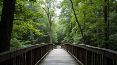Wooden Bridge Arching Above Tall Foliage