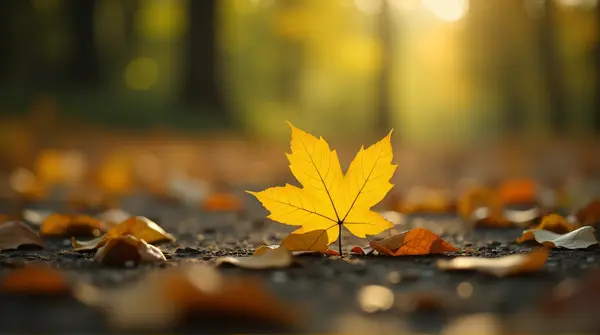 Yellow Leaf Close-Up With Natural Background