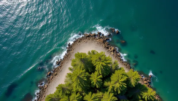 Aerial Coastal Scene Coniferous Forest Rocky Shoreline