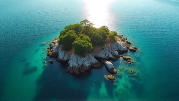 Aerial View Of Rocky Island Fringed With Trees