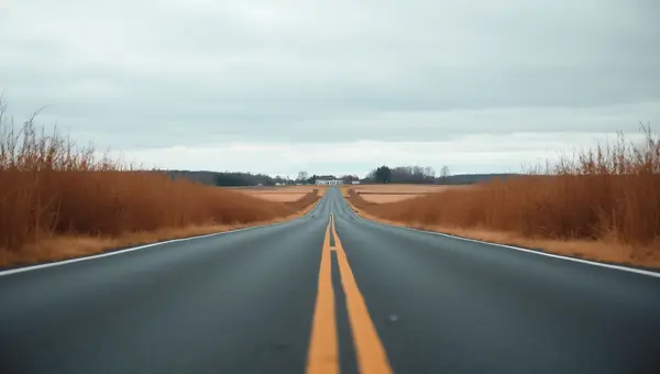 Asphalt Road Through Brown Field With Farmhouse