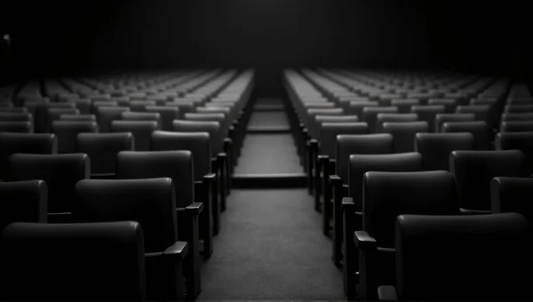 Auditorium Chairs Grayscale Low-Angle View
