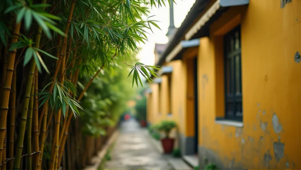 Bamboo Cluster Near Weathered Yellow Building