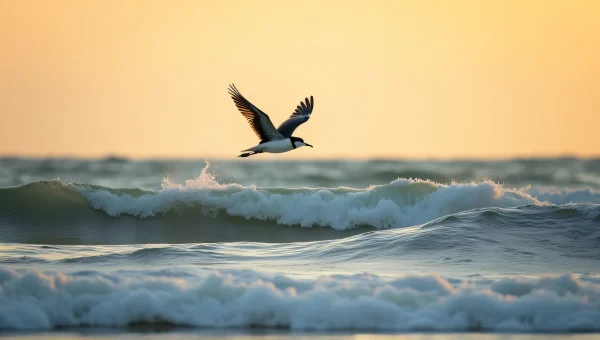 Bird Gliding Over Ocean Waves At Golden Hour