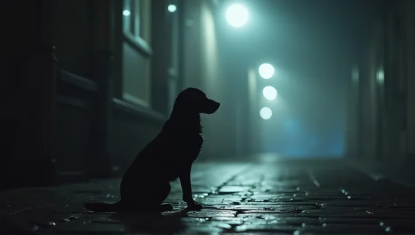 Black Dog Sitting on Cobblestones in Fog