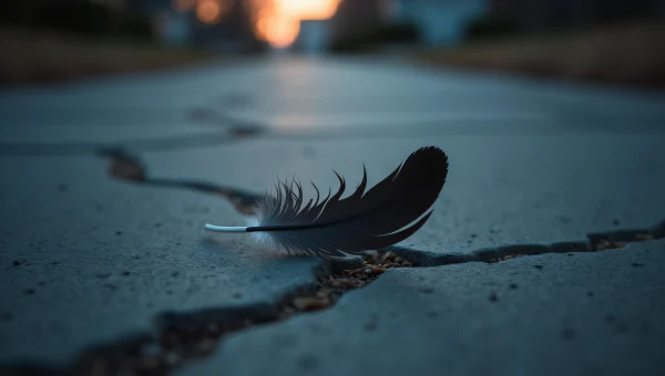 Black Feather On Cracked Concrete Sidewalk Dusk