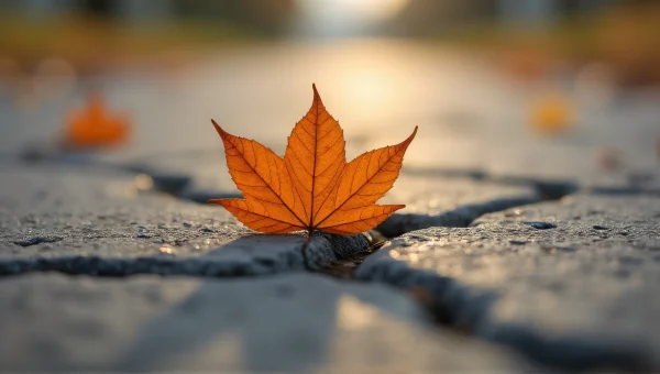 Brown Dry Leaf On Cracked Concrete Surface