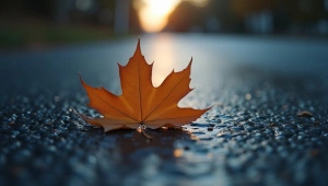 Brown Leaf on Wet Asphalt at Dusk Close-Up