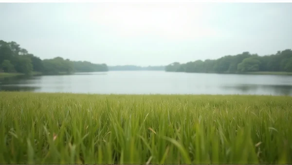 Calm Lake Reflection Over Green Grass Field