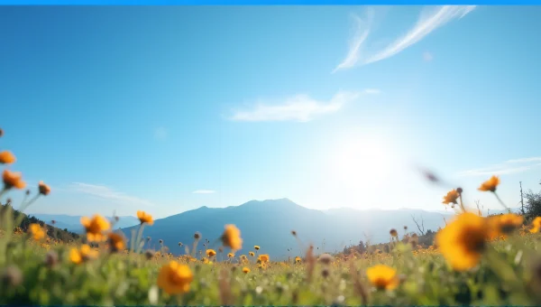 Clear Blue Sky Over Mountain Ridge With Wildflowers
