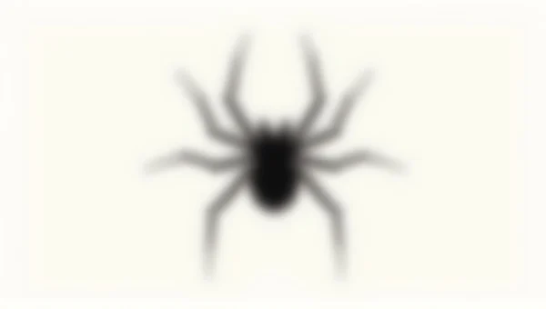 Close-Up Black Spider Graphic High Contrast Design