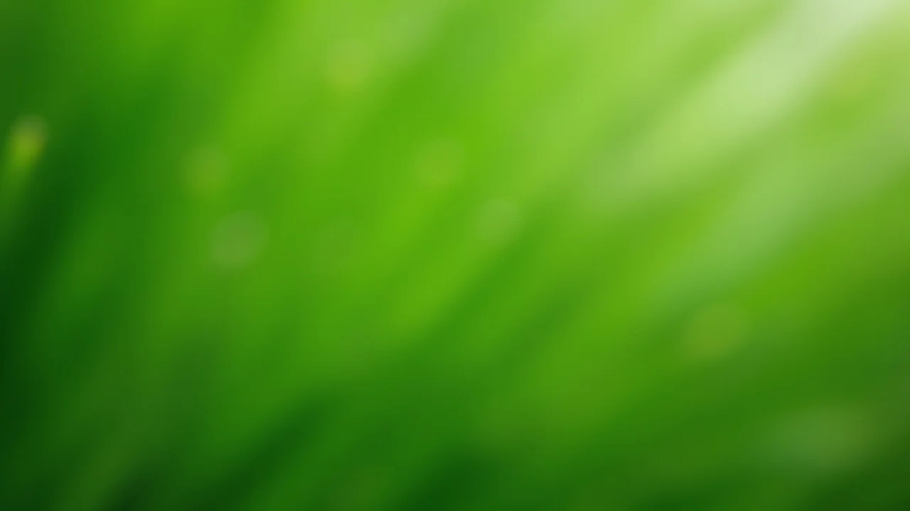 Close-up of green leaves with dewy texture in natural light.