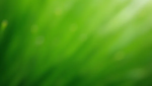 Close-Up Green Leaves With Dewy Texture