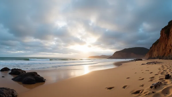 Coastal Panorama Shoreline Waves Driftwood Footprints