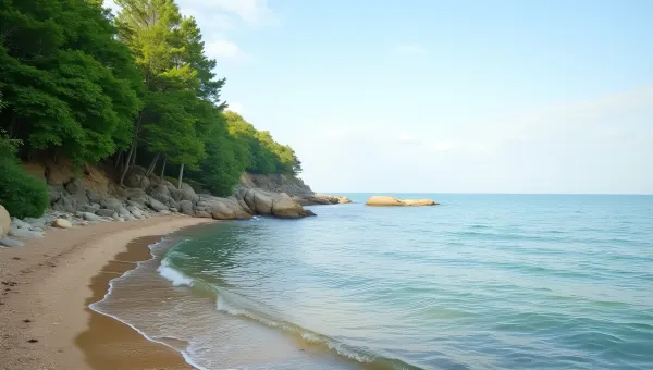 Coastal Scene With Green Trees And Calm Sea