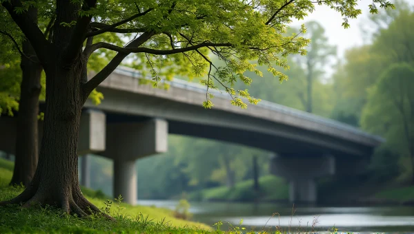 Concrete Bridge With Green Tree Landscape