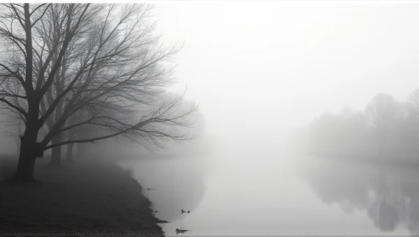 Foggy Riverside Deciduous Trees Grayscale Study