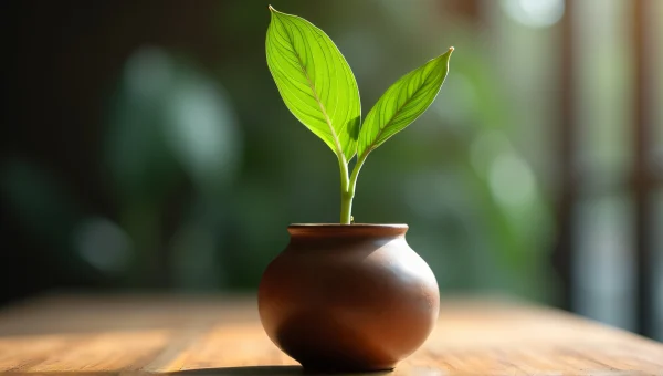 Frond Sprouting From Rustic Vessel On Wooden Table