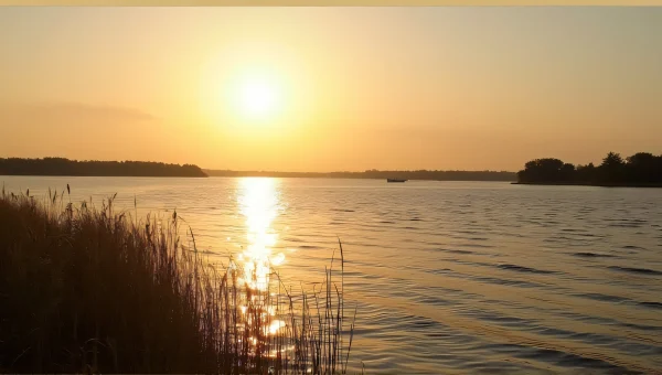 Golden Hour River Reflection With Reeds