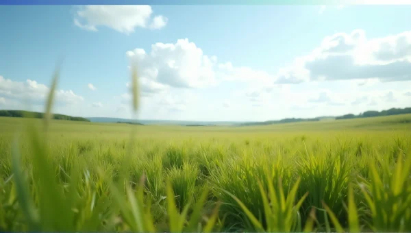 Grass Field Under Expansive Sky Landscape