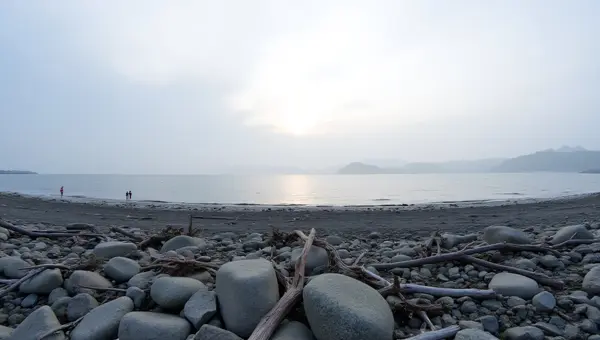 Gray Rocky Shore At Dawn With Driftwood Foreground