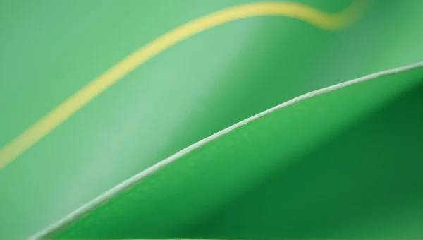 Green Surface With White Yellow Lines Macro image