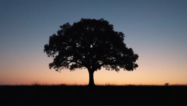 Lone Tree Silhouette at Dusk Sky