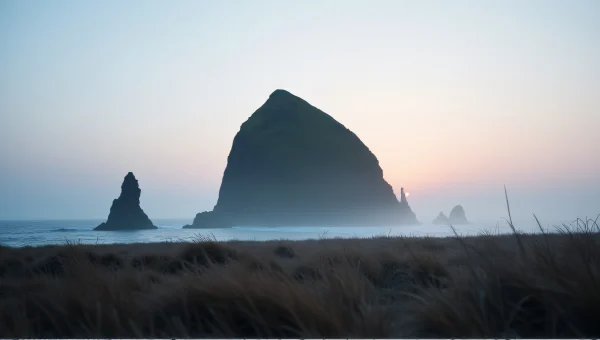 Misty Coastal Dawn Black Rock Formation