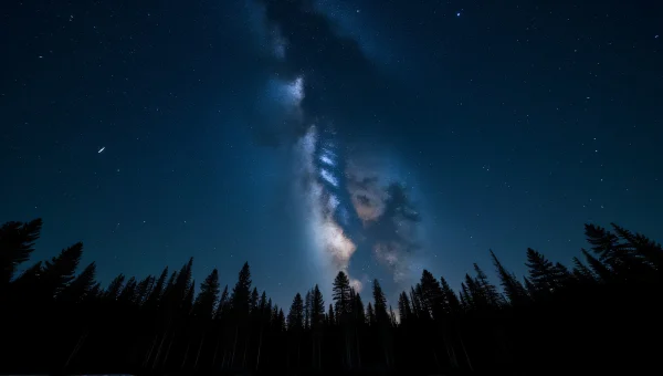 Night Sky Stars Above Pine Forest Landscape