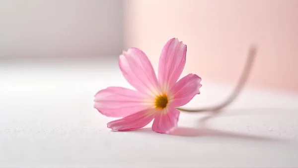 Pink Flower Close-Up On Textured Surface