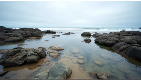 Rocky Shoreline Tidal Pools Under Overcast Sky