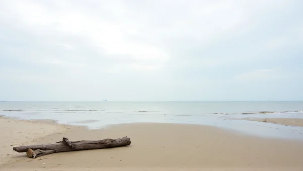 Sandy Beach Low Tide Driftwood Sailboat Horizon