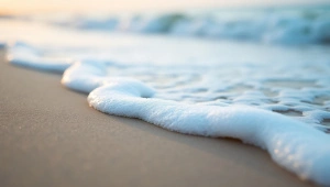 Sea Foam Textures On Wet Sand Close-Up Shot