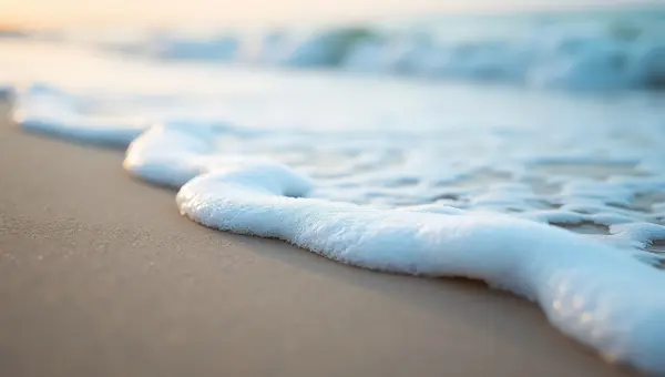 Sea Foam Textures On Wet Sand Close-Up Shot