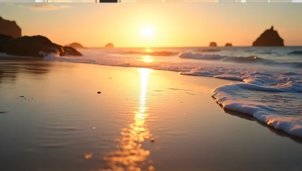 Seashore Golden Hour Reflections And Silhouettes