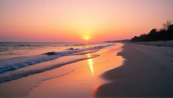 Shoreline Sunset View With Silhouetted Trees