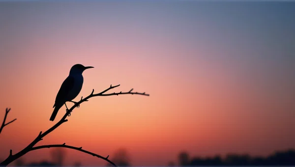 Silhouette Bird Perched on Branch at Twilight