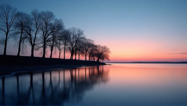 Silhouette Trees Dusk Calm Shoreline Reflection
