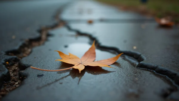 Single Brown Leaf on Cracked Concrete Surface