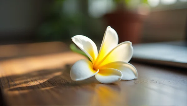 Single Flower On Wooden Table Close-Up