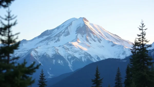 Snow-Capped White Mountain With Pine Silhouettes