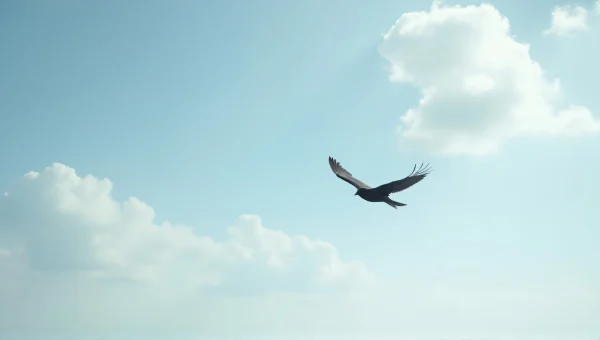 Solitary Black Bird Gliding Under Blue Sky