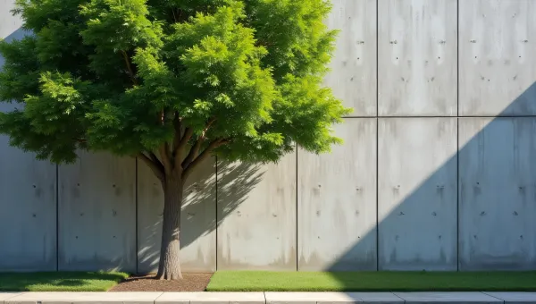 Tree by Concrete Building in Soft Midday Light