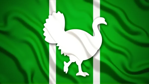 Turkey Flag Design With Green Field Background
