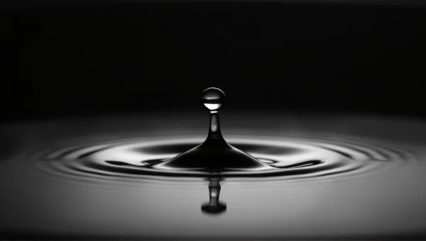 Water Drop Macro Close-Up Black and White