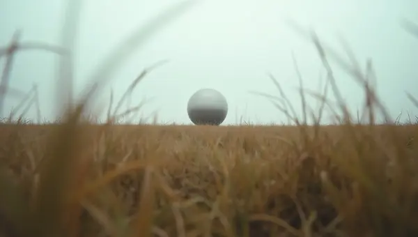 Windswept Grass Field With Reflective Sphere