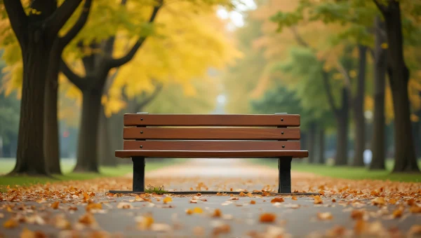 Wooden Bench in Serene Park Clearing