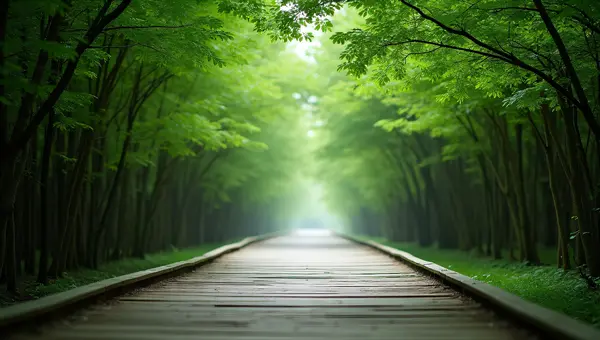 Wooden Boardwalk Through Lush Green Trees