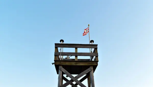 Wooden Watchtower Viewpoint With Binoculars